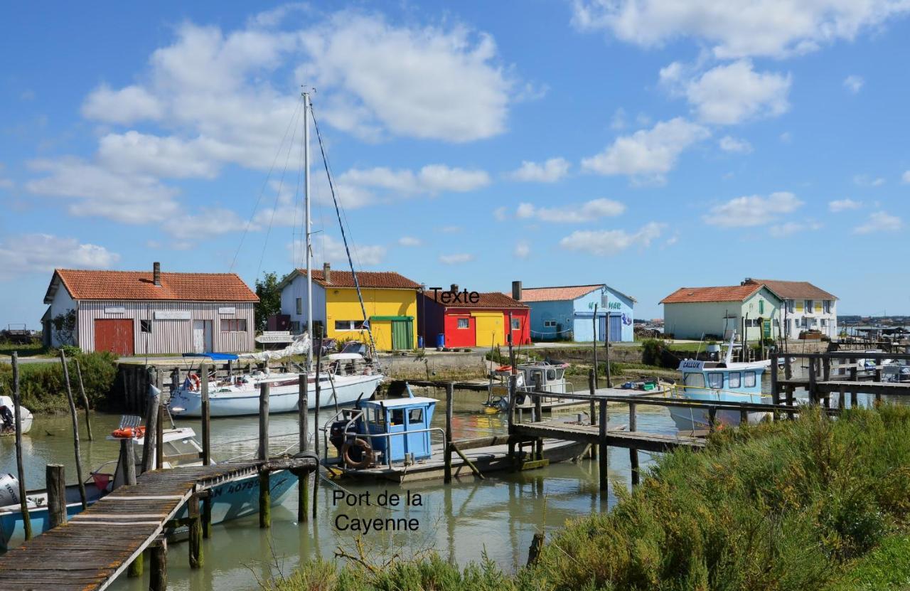 Entre Plage Et Marais Vila Bourcefranc Exterior foto